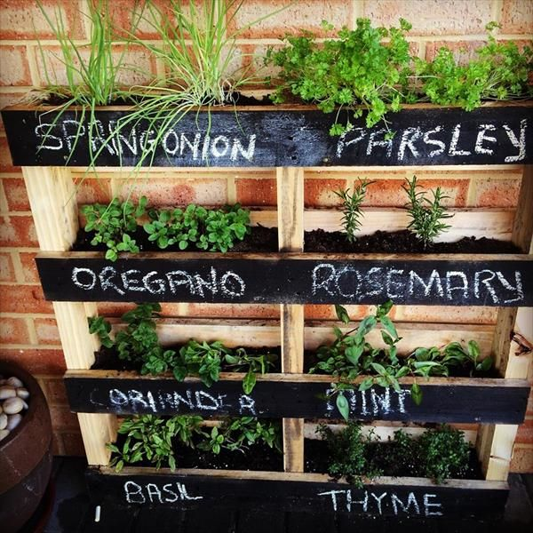 garden ideas with pallets