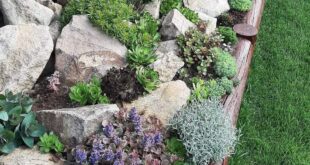 garden ideas with stones