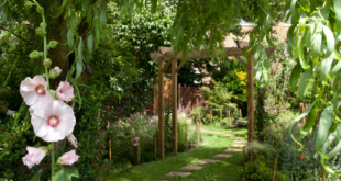 garden ideas long narrow