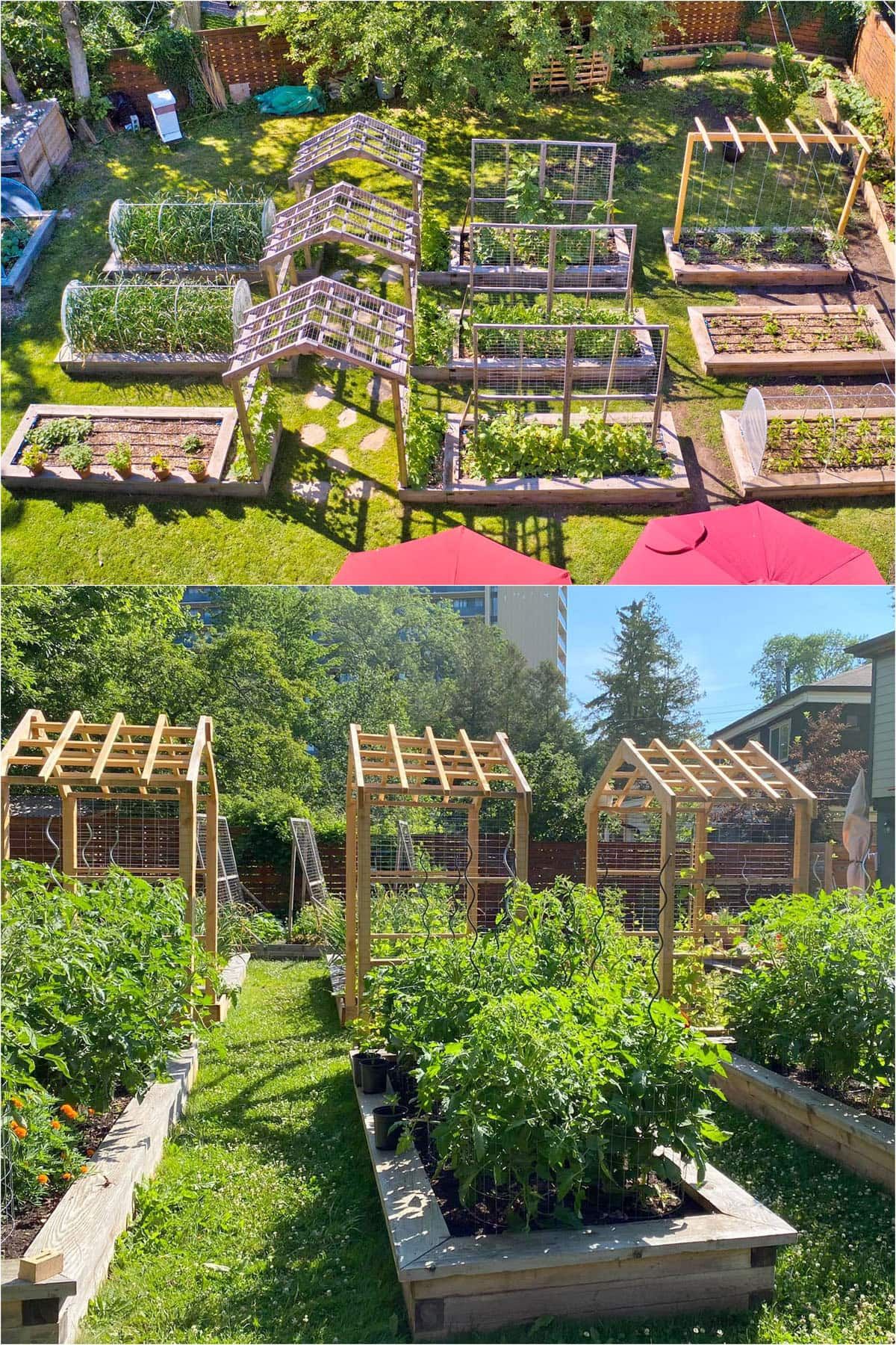 Creative Ways to plan and design your backyard vegetable garden