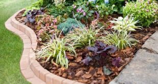 landscaping border ideas