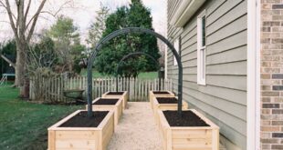 backyard garden ideas