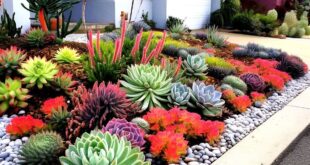 landscape ideas front yard