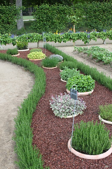 Creative and Beautiful Garden Designs Featuring a Variety of Plants