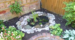 small garden ponds ideas