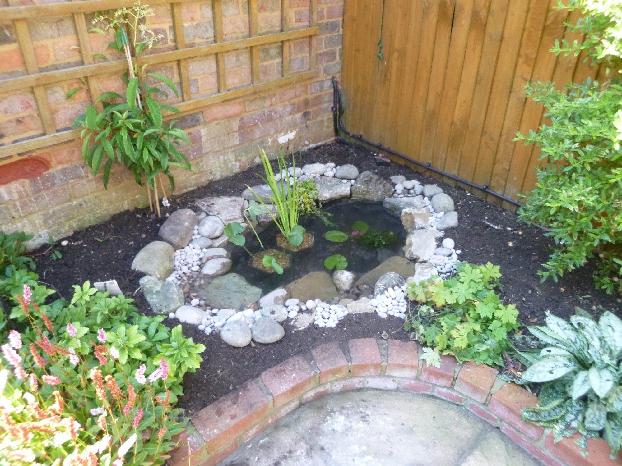 Creative and Beautiful Garden Pond Suggestions for Small Spaces