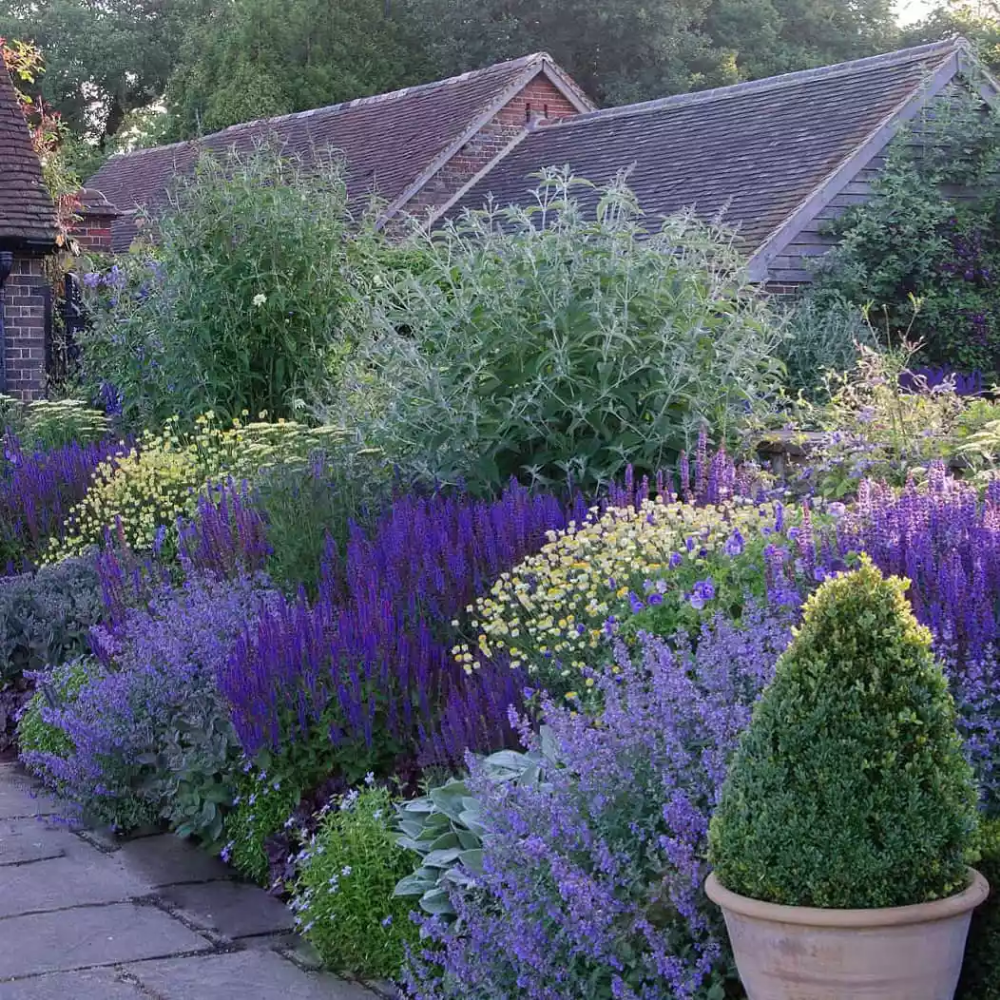 Creative and Beautiful Ways to Landscape Your Garden