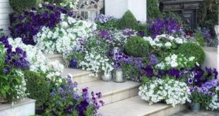 front garden ideas