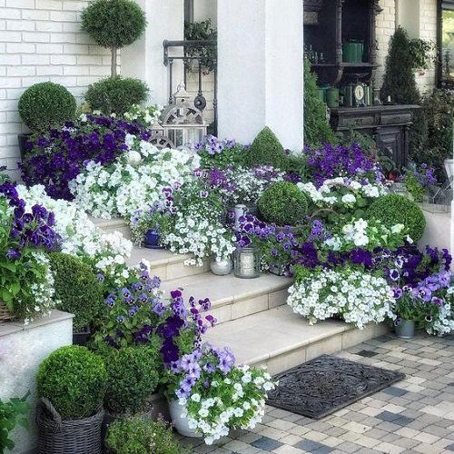 Transforming Your Home’s Front Yard with Beautiful Landscaping