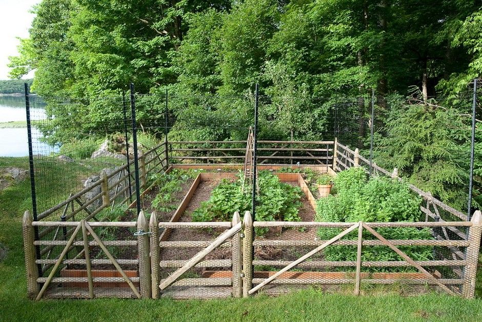 Creative and Cost-Effective DIY Garden Fence Ideas for Your Yard