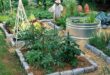 backyard garden ideas