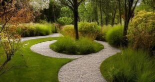 modern garden ideas