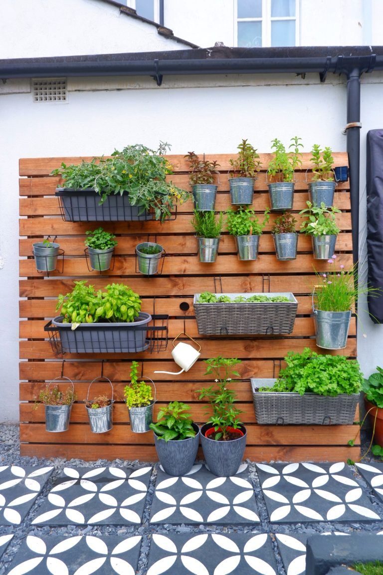 Creative and Inspirational Garden Wall Designs for Your Outdoor Space