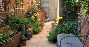 courtyard garden ideas