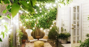 small garden courtyard ideas