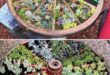 landscaping garden ideas