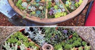 landscaping garden ideas