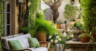 patio garden ideas