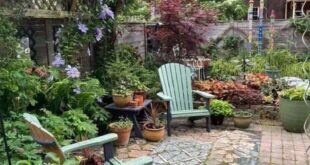 patio garden ideas