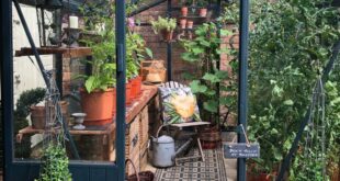 small garden greenhouse ideas