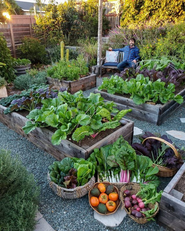 Creative and Stylish Garden Bed Ideas for Small Spaces