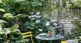 garden patio ideas