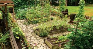 backyard garden ideas