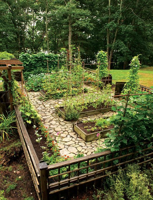 Creative and Sustainable Ways to Transform Your Backyard into a Garden Oasis