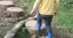 childrens garden ideas