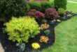 landscaping ideas