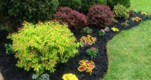 landscaping ideas