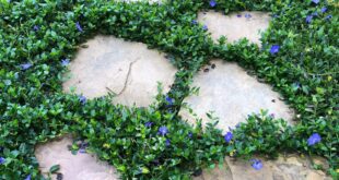 garden stepping stones