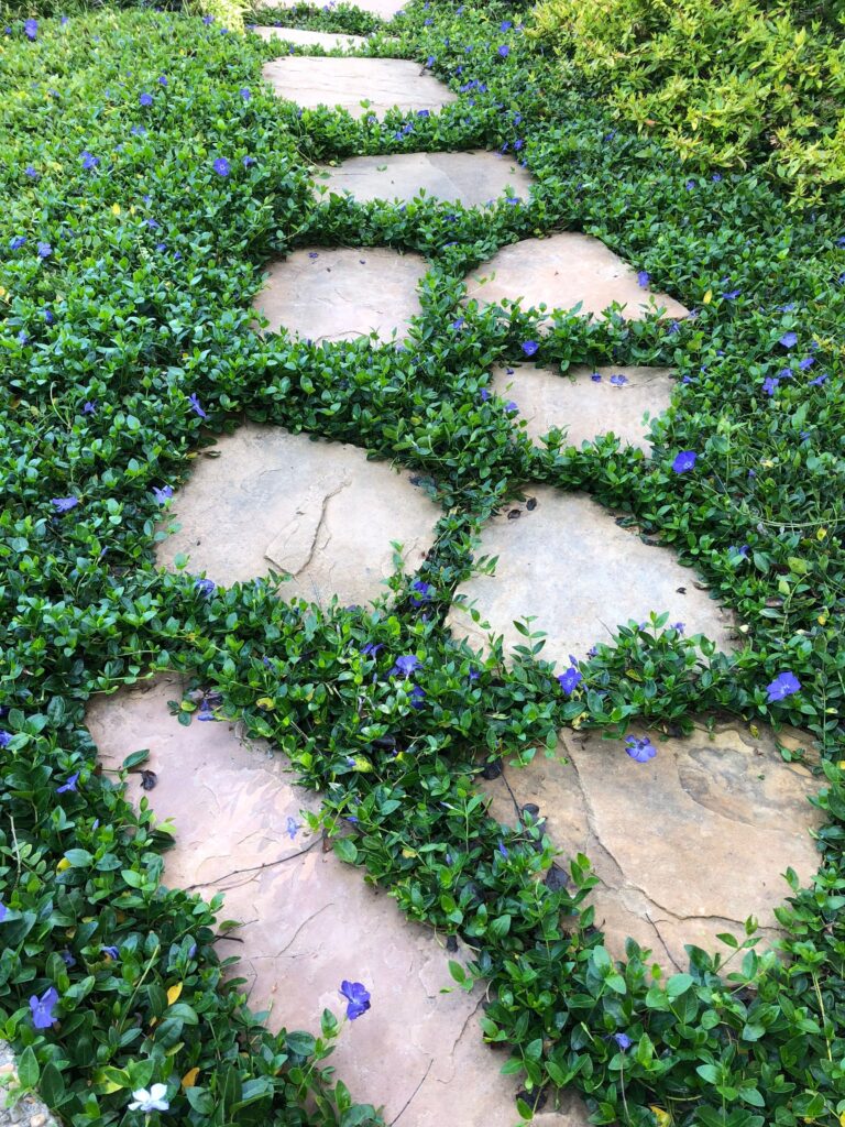 garden stepping stones