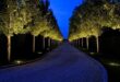 landscaping driveway