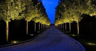 landscaping driveway