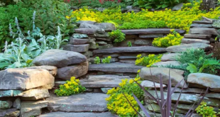 landscaping hillside