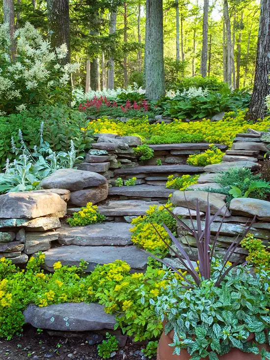 landscaping hillside