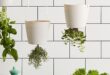 kitchen herb garden planter