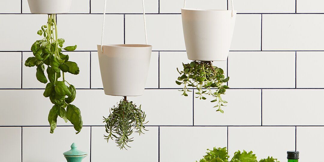 Designing a Kitchen Herb Garden Planter: A Guide to Growing Fresh Herbs at Home