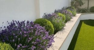 small garden wall