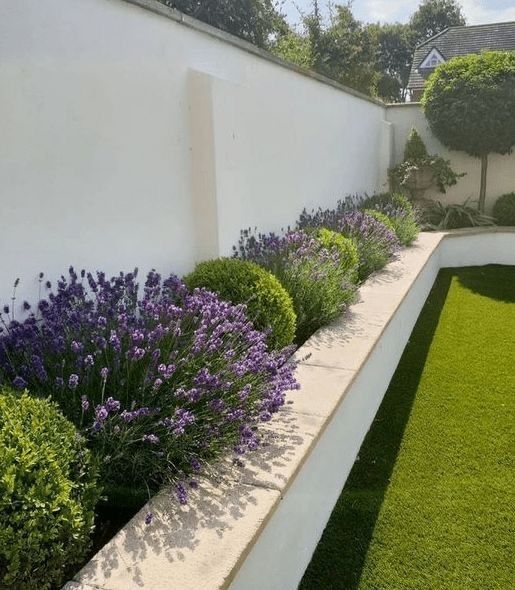 small garden wall