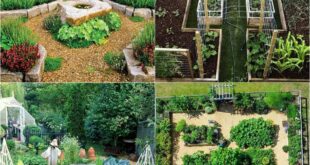 vegetable garden design layout