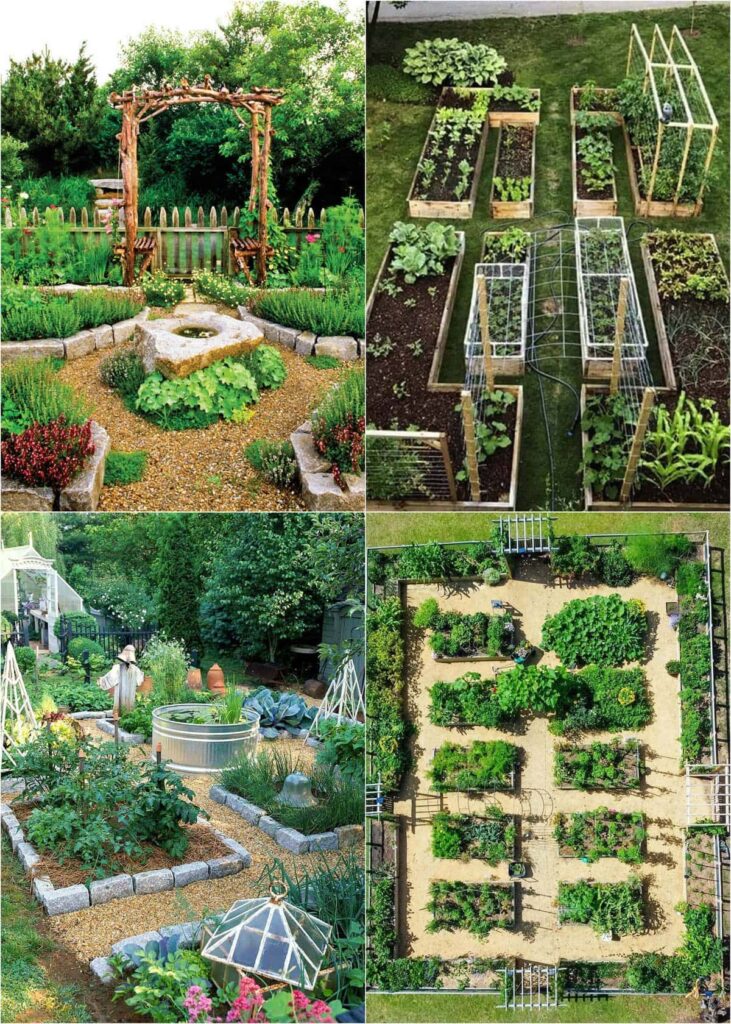 vegetable garden design layout