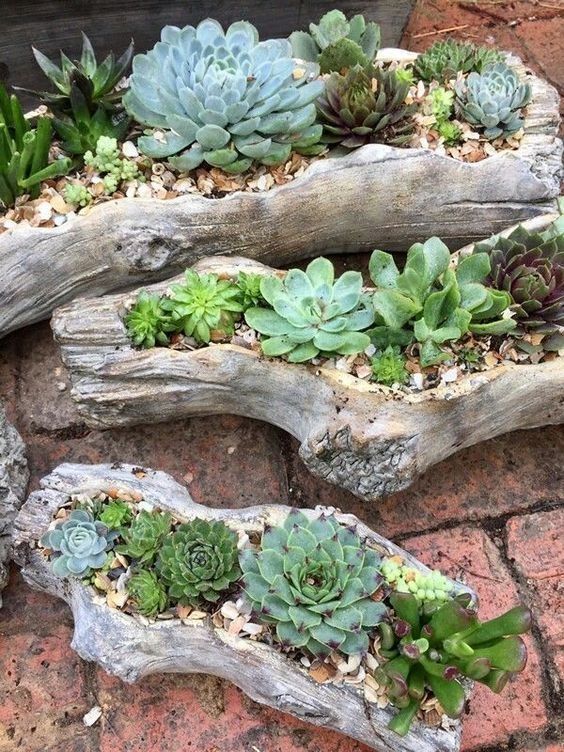 Discover Creative Garden Ideas for Beautiful Plant Arrangements