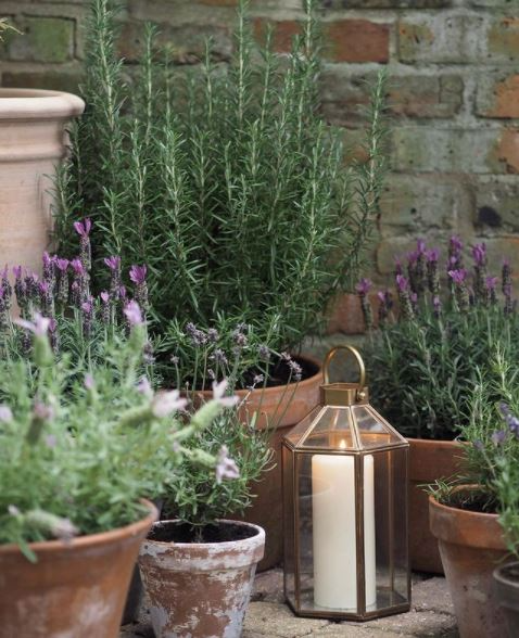 Discover Creative and Beautiful Courtyard Garden Inspiration