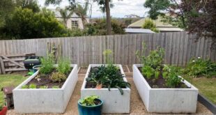 garden planter concrete