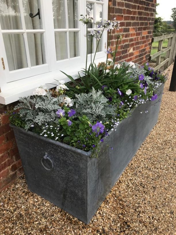 Discover the Beauty of Garden Planter Troughs