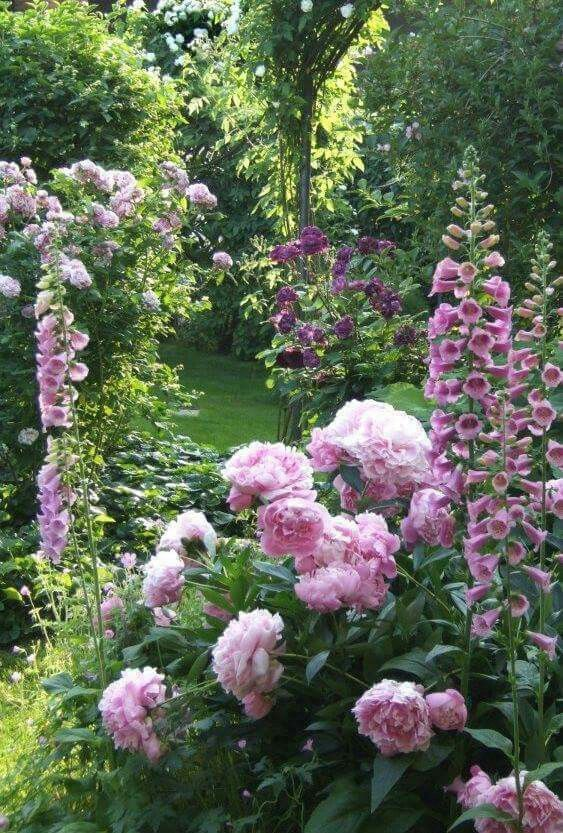 Discover the Beauty of Traditional English Gardens