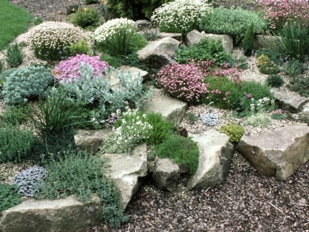 Discover the Beauty of a Rock Garden