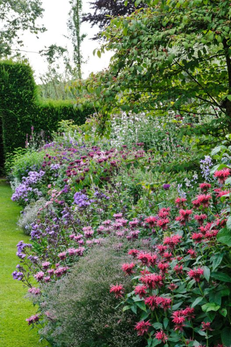 Discover the Charm of Traditional English Gardens